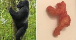 Harambe Cheeto Meme Template