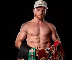 Canelo king Meme Template