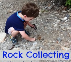 Perry Pud-Puller rock collecting JPP Meme Template