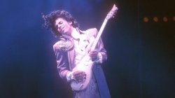 Prince Shred Meme Template