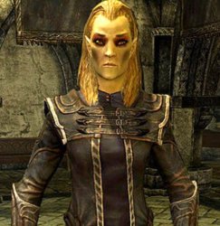 Elenwen Meme Template