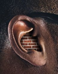Bricks in ear Meme Template