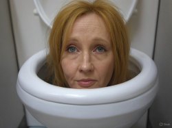 Rowling in a toilet cubicle Meme Template