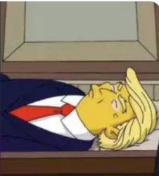Trump 2028 Meme Template