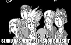 senku has never seen such bullshit before Meme Template