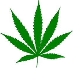 420 leaf Meme Template