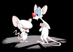 Pinky and the Brain Meme Template