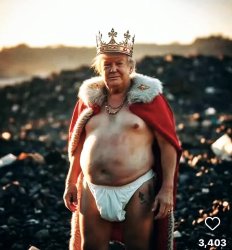 tRump poopy diaper Meme Template