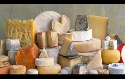 Cheese Meme Template