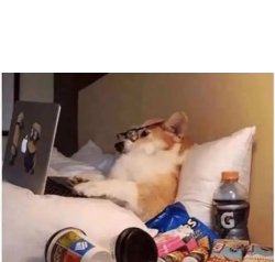 Computer dog Meme Template
