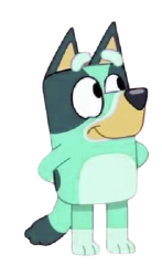 Kkuity Nyltick Meme Template