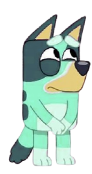 Kkuity Nyltick Meme Template