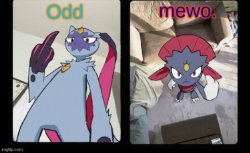 shared template thingy Meme Template