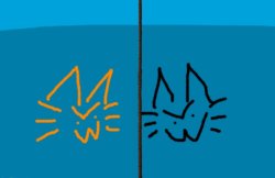 Honored and Slight shared temp Meme Template