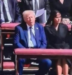 Sleepy Don Meme Template
