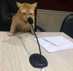 Cat microphone Meme Template