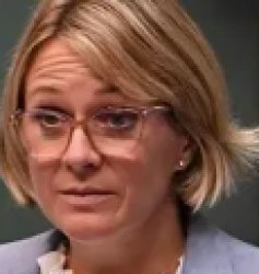 Zali Steggall Meme Template