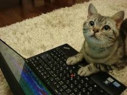 Kat Hacker Meme Template