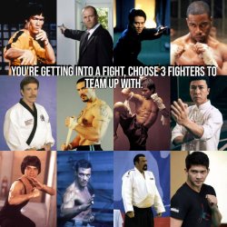 You're getting into a fight, choose 3 fighters to team up with. Meme Template