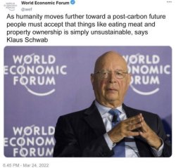 Klaus Schwab you won't eat meat Meme Template