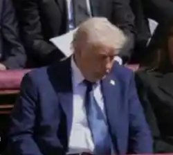 Trump Slump Meme Template