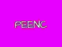 peenc Meme Template