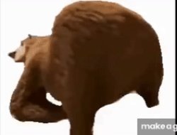 Bear Meme Template