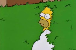 Homer in bush Meme Template