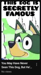 dogoventures Meme Template