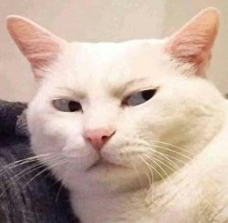 side eye cat Meme Template