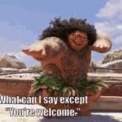 Your welcome low quality Meme Template