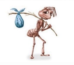 homeless ant Meme Template