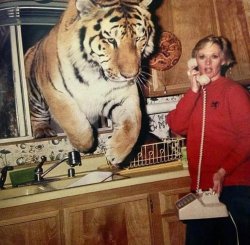 Tiger Call Meme Template