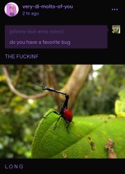 THE FREAKING L O N G Meme Template