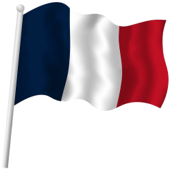 French Flag Meme Template