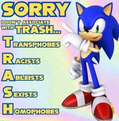 sonic trash Meme Template