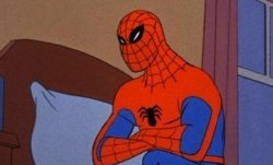 Seriously Spidey Meme Template