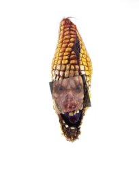 Konnor The Evil Korn Meme Template