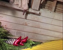Wizard of Oz wicked witch Meme Template