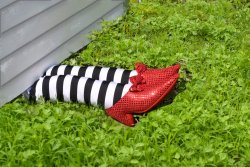 Wizard of Oz wicked witch Meme Template