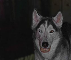 Smile dog #1 Meme Template