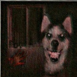 Smile dog #2 Meme Template