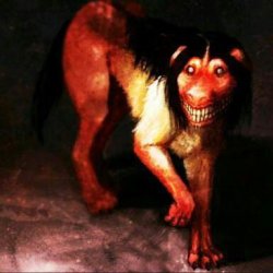 Smile dog #3 Meme Template