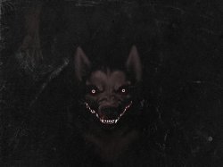 Smile dog #5 Meme Template