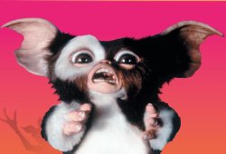 Gizmo Angry Meme Template