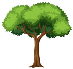 Tree Meme Template