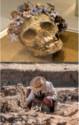 Flower skull Meme Template