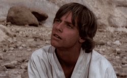 I wonder... Meme Template