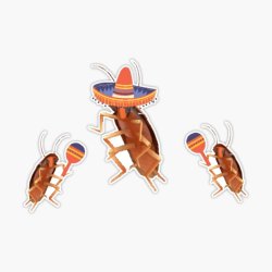 Sombrero cockroach Meme Template