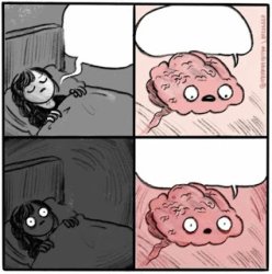 Brain before sleep mirrored Meme Template